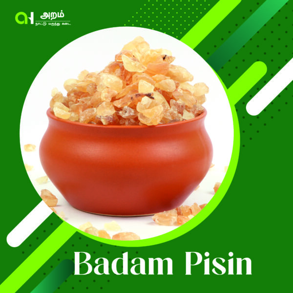 Badam Pisin | பாதாம் பிசின் 🌰