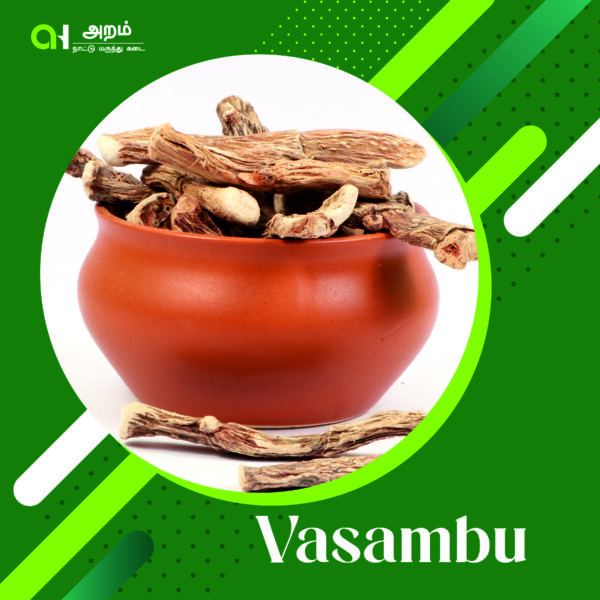 Vasambu | வசம்பு (Sweet Flag / Calamus Root)