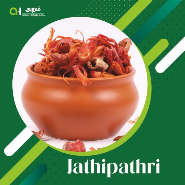 Jathipathri | ஜாதிப்பத்திரி 🌺