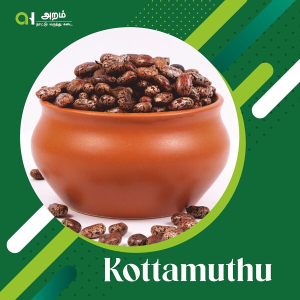 Kottamuthu | கொட்டமுத்து