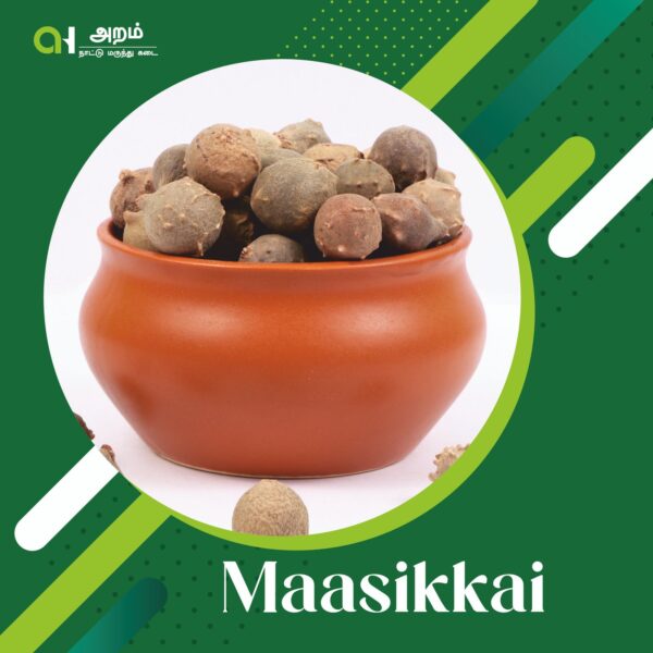 Maasikkai | மாசிக்காய் 🌰