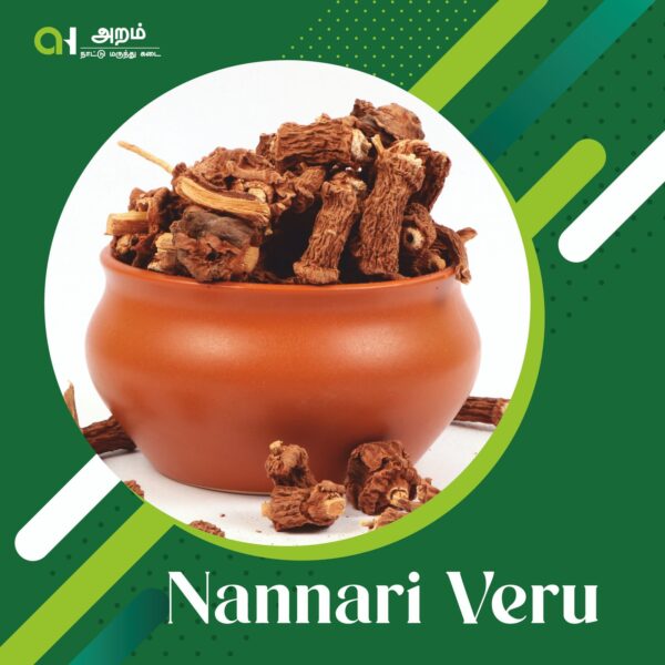 Nannari Veru | நன்னாரி வேர் 🌿