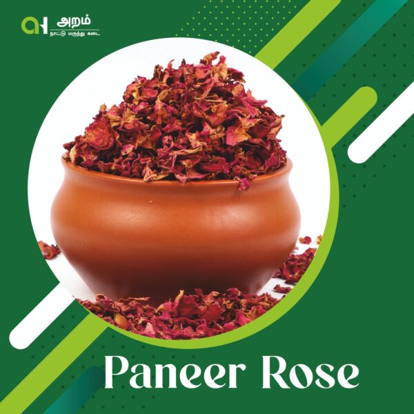 Paneer Rose |  பன்னீர் ரோஜா 🌹