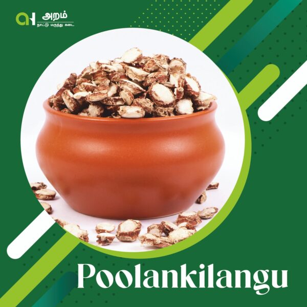 Poolankilangu | பூலாங்கிழங்கு