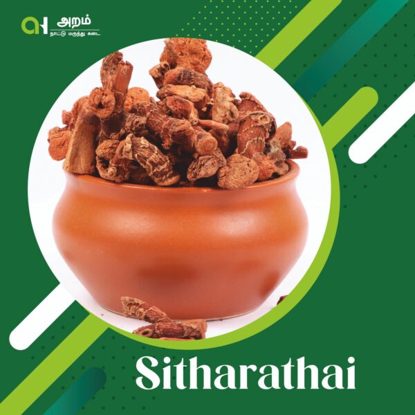 Sitharathai | சித்தரத்தை