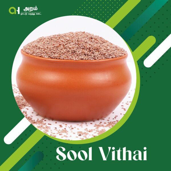 Sool Vithai | சூல் விதை