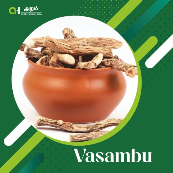 Vasambu | வசம்பு (Sweet Flag / Calamus Root)