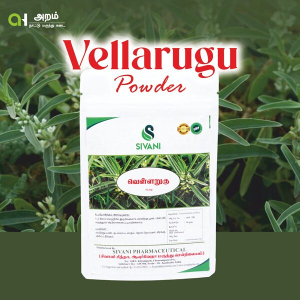 🌿 Vellarugu Powder / வெல்லருகு பொடி