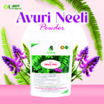 Next Product Image