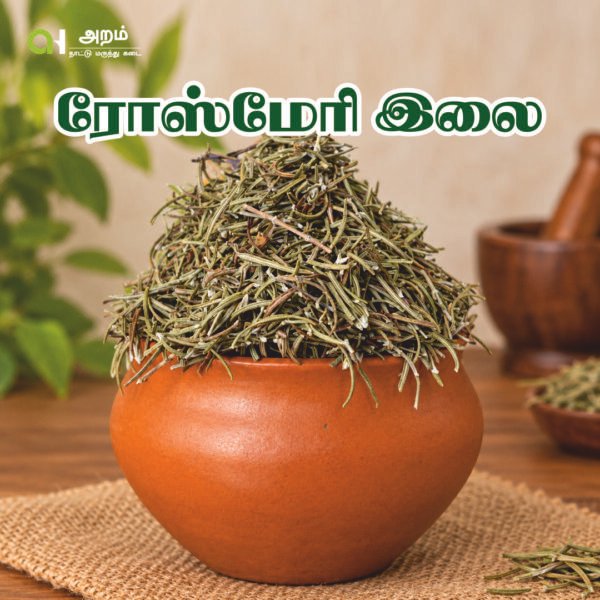 Rosemary Leaves | ரோஸ்மேரி இலை